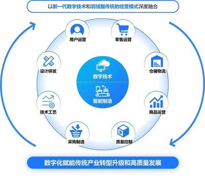 構建高效、可持續的數字生態系統 標桿項目實施辦法與數字技術服務路徑